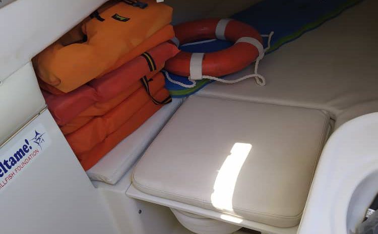 
								PROMARINE OPEN 33 full									