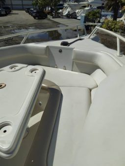 
										PROMARINE OPEN 33 full									