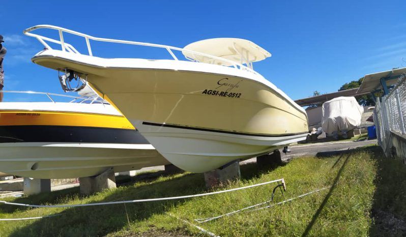 
								PROMARINE OPEN 33 full									