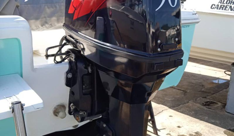 
								SCOUT  SPORTFISH FAB NACIONAL 18 full									