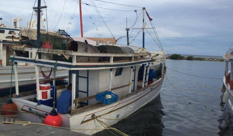 
								BARCO DE PESCA MADERA 10.8 MTS full									