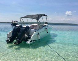 
										BLACK JACK 31.5 full									