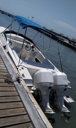 
										SANTOS 28 full									
