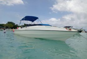 SANTOS 28