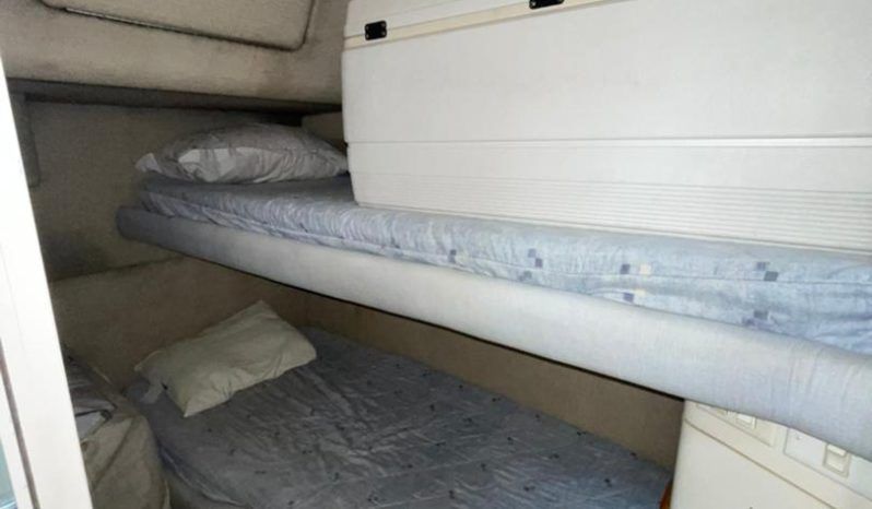 
								SEA RAY SEDAN SF 55 full									