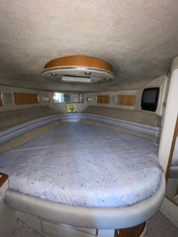 
										SEA RAY SEDAN SF 55 full									