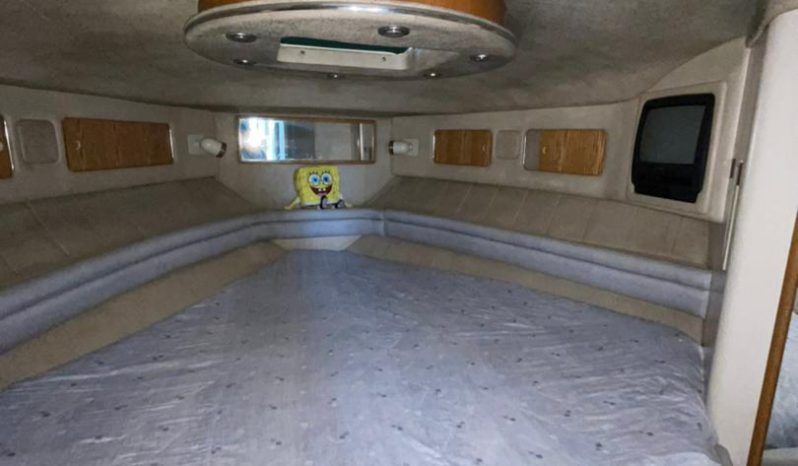 
								SEA RAY SEDAN SF 55 full									