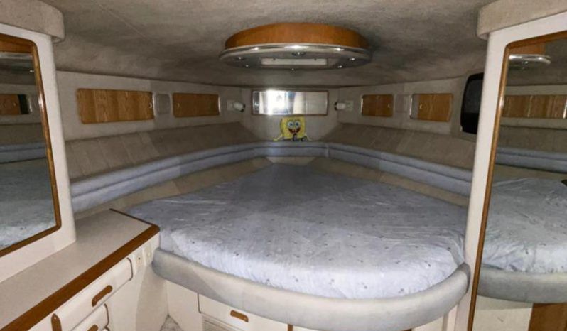 
								SEA RAY SEDAN SF 55 full									