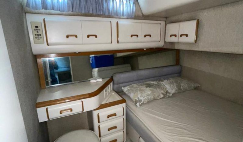 
								SEA RAY SEDAN SF 55 full									