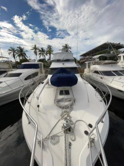 
										SEA RAY SEDAN SF 55 full									