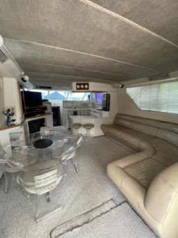 
										SEA RAY SEDAN SF 55 full									