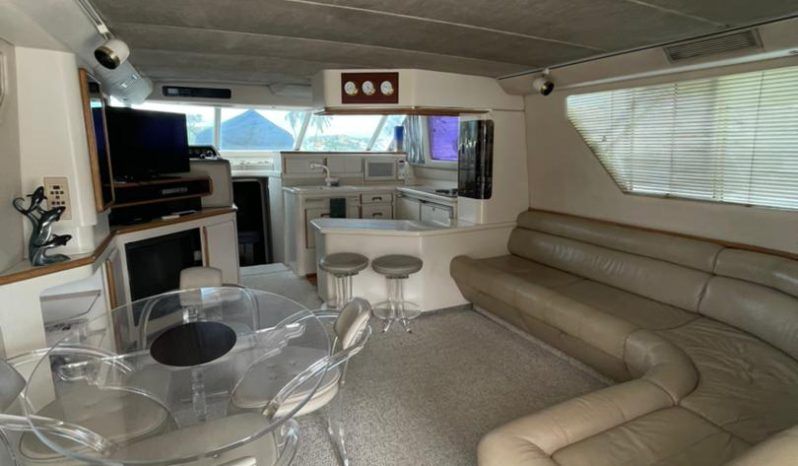 
								SEA RAY SEDAN SF 55 full									