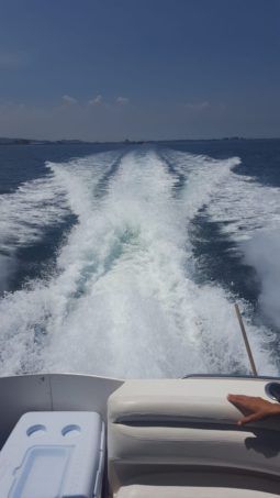 
										DORAL CRUISER 360SE 36 full									