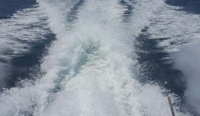 
								DORAL CRUISER 360SE 36 full									