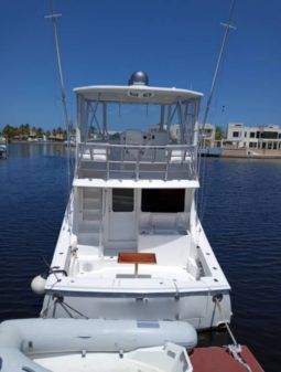 
										LUHRS 41 full									
