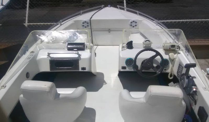 
								INTERMARINE SEMI OPEN 20 full									