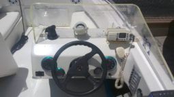 
										INTERMARINE SEMI OPEN 20 full									