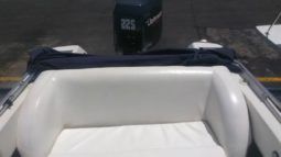 
										INTERMARINE SEMI OPEN 20 full									