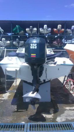 
										INTERMARINE SEMI OPEN 20 full									