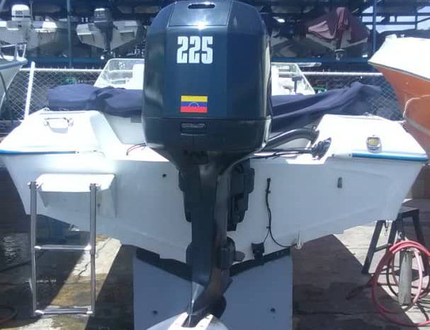
								INTERMARINE SEMI OPEN 20 full									