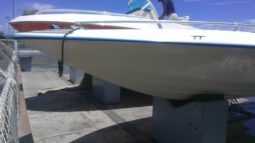 
										INTERMARINE SEMI OPEN 20 full									