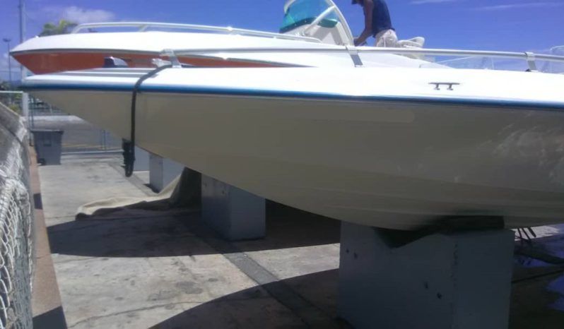 
								INTERMARINE SEMI OPEN 20 full									