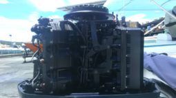 
										INTERMARINE SEMI OPEN 20 full									