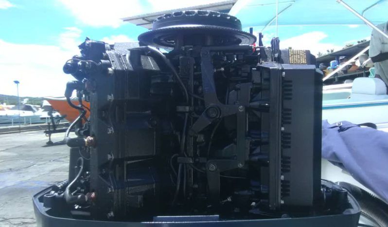 
								INTERMARINE SEMI OPEN 20 full									