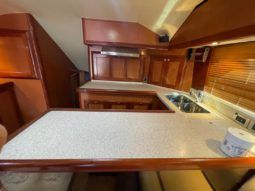 
										LUHRS SPORT FISHERMAN 41 full									