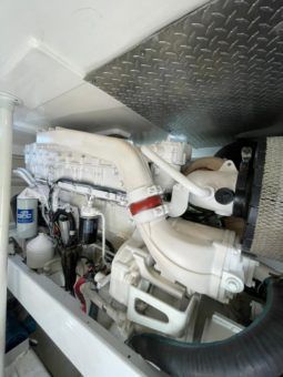 
										LUHRS SPORT FISHERMAN 41 full									