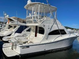 
										LUHRS SPORT FISHERMAN 41 full									