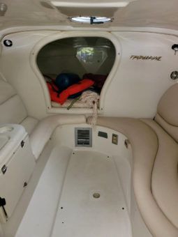 
										PROMARINE 33 full									