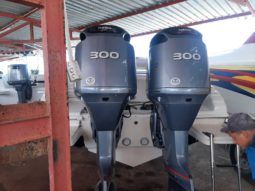 
										PROMARINE 33 full									
