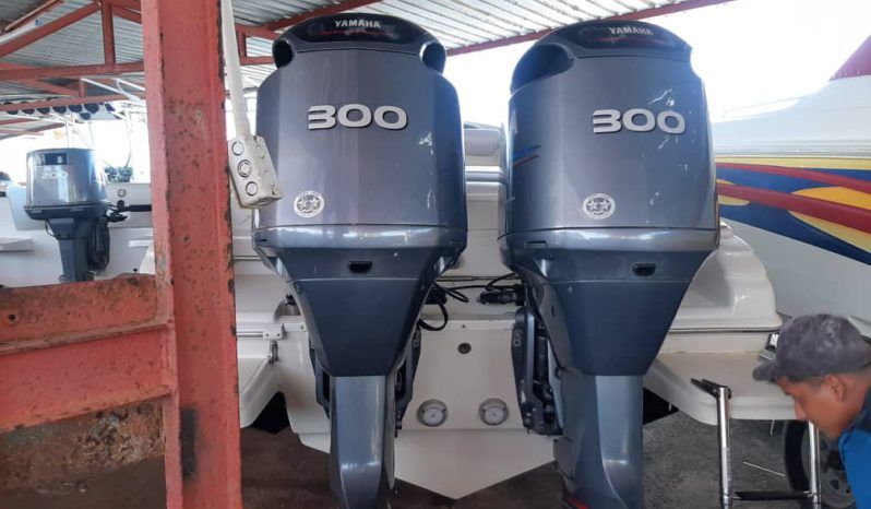 
								PROMARINE 33 full									