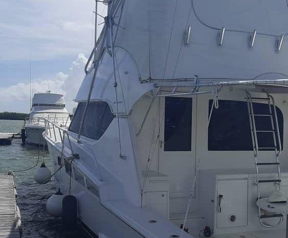 
								HATTERAS CONVERTIBLE 50 full									