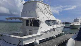 HATTERAS CONVERTIBLE 50