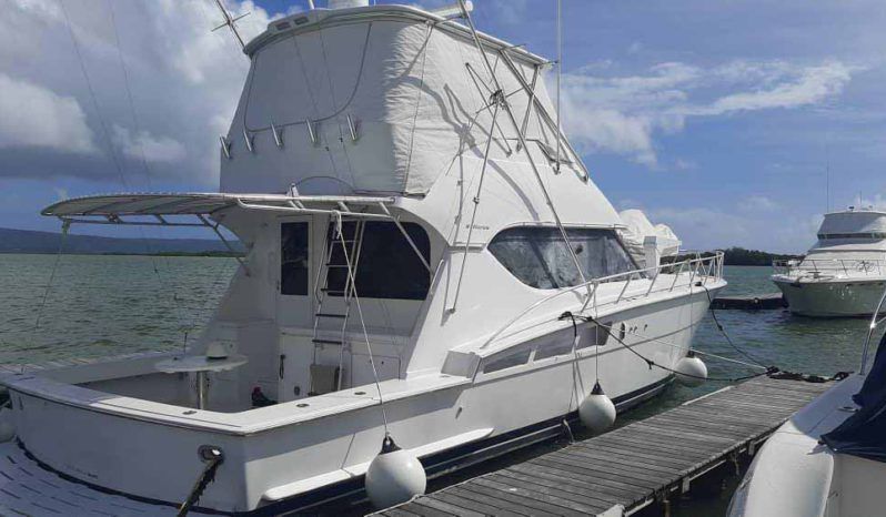 
								HATTERAS CONVERTIBLE 50 full									