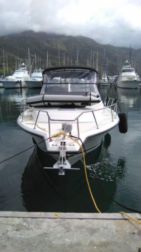STAMAS 31