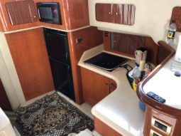
										SEA RAY SEDAN BRIDGE 40 full									