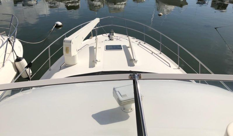 
								SEA RAY SEDAN BRIDGE 40 full									