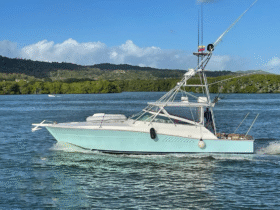 VIKING EXPRESS 43