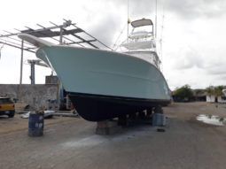 
										VIKING EXPRESS 43 full									