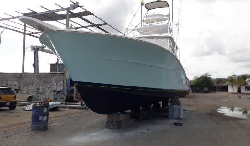 
								VIKING EXPRESS 43 full									