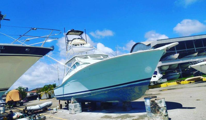 
								VIKING EXPRESS 43 full									