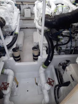 
										VIKING EXPRESS 43 full									