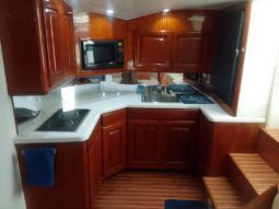 
										VIKING EXPRESS 43 full									