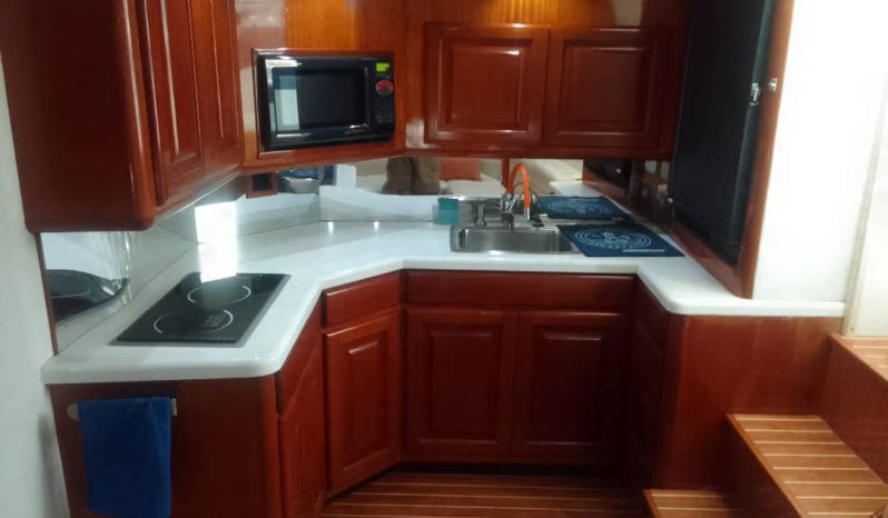
								VIKING EXPRESS 43 full									