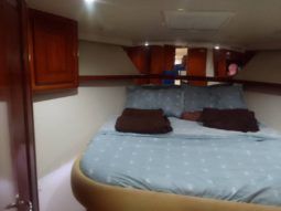 
										VIKING EXPRESS 43 full									