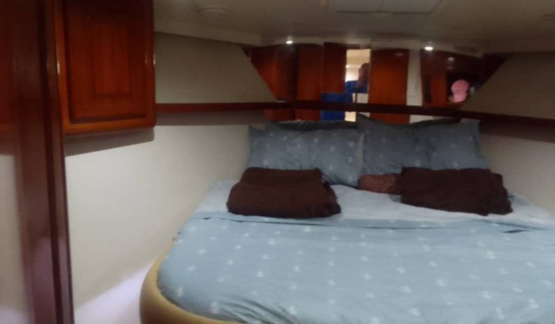 
								VIKING EXPRESS 43 full									