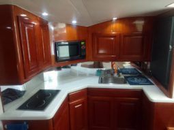 
										VIKING EXPRESS 43 full									